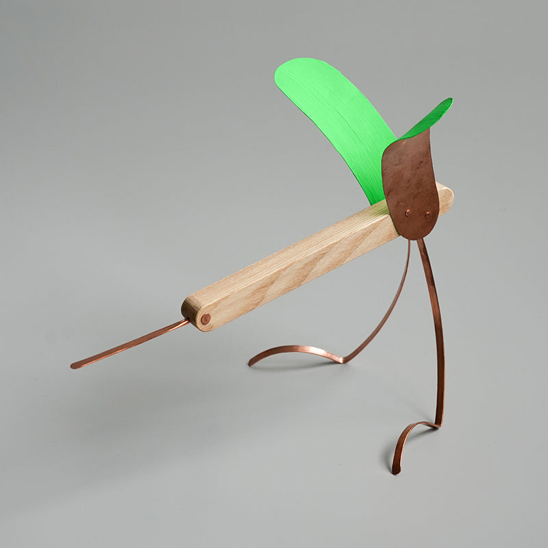 コーチカズノリ トリ