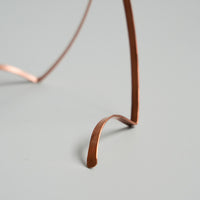 コーチカズノリ トリ