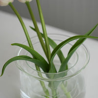 PINOガラスプランター