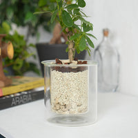 PINOガラスプランター