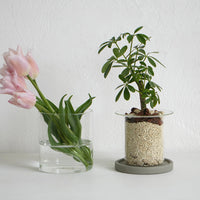 PINOガラスプランター