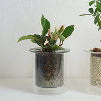 PINOガラスプランター