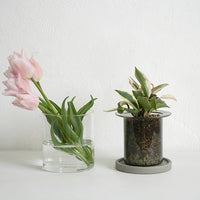 PINOガラスプランター