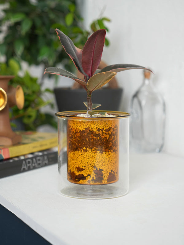 PINOガラスプランター