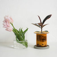 PINOガラスプランター