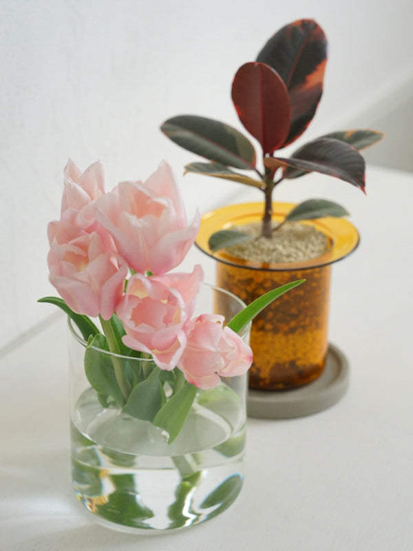 PINOガラスプランター