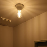 Flare ceiling light