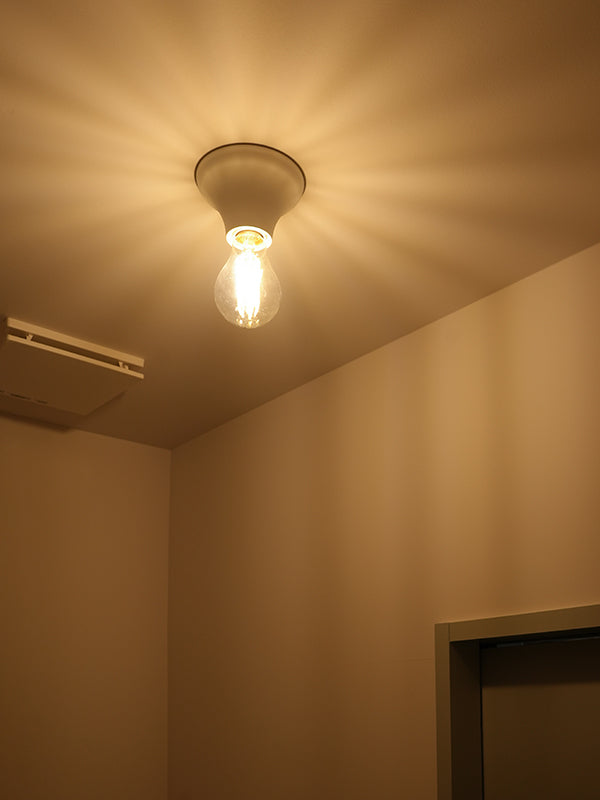Flare ceiling light