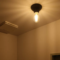 Flare ceiling light
