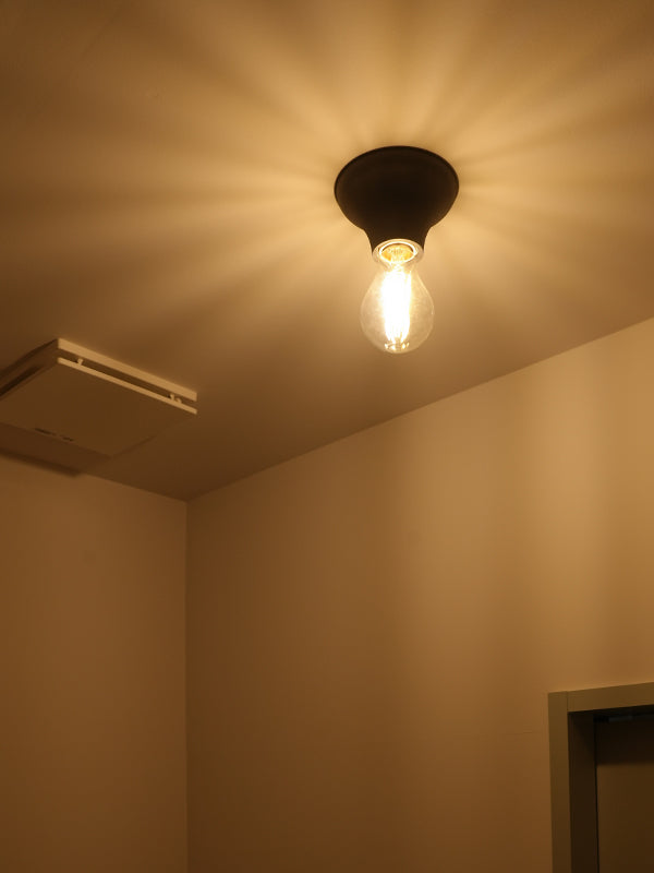 Flare ceiling light