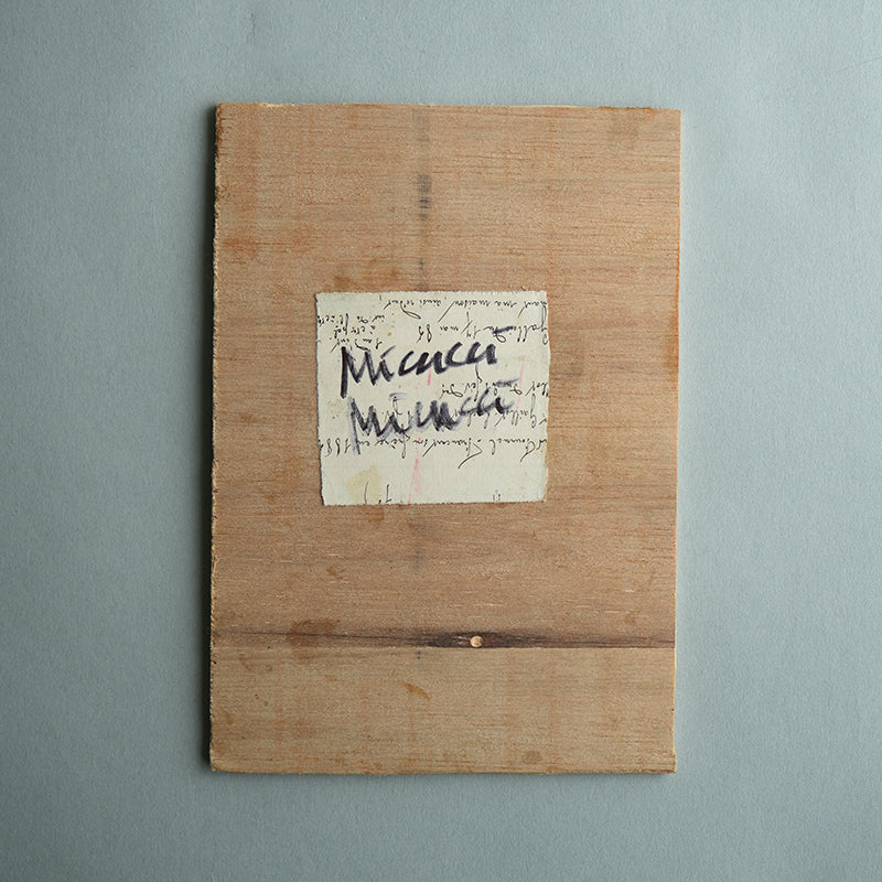 Micucci Micucci(水着の双子)