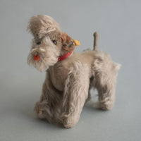 Dog/Steiff