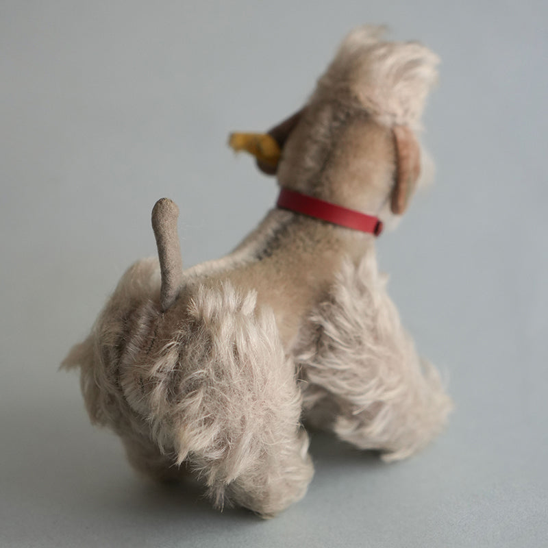 Dog/Steiff