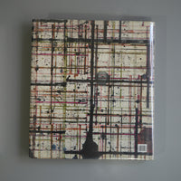 PLANE IMAGE:A BRICE MARDEN RETROSPECTIVE