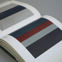 PLANE IMAGE:A BRICE MARDEN RETROSPECTIVE