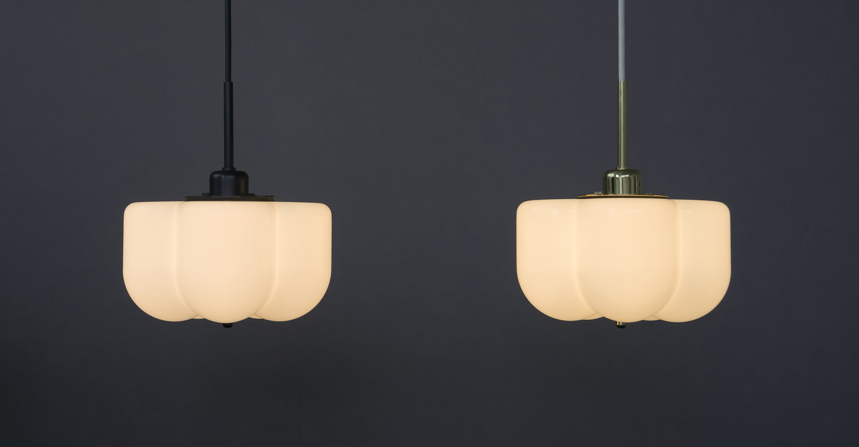 Giulia Liverani × AXCIS,INC.花のようなあかり「Flora pendant light」