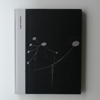 EVERY KIND OF WIND: CALDER AND THE 21ST CENTURY