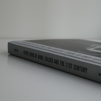 EVERY KIND OF WIND: CALDER AND THE 21ST CENTURY