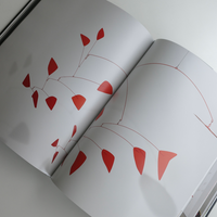 EVERY KIND OF WIND: CALDER AND THE 21ST CENTURY