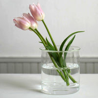 PINOガラスプランター