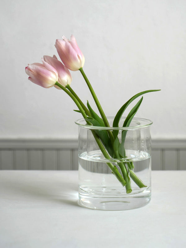 PINOガラスプランター