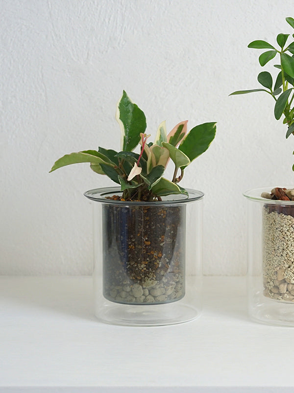 PINOガラスプランター