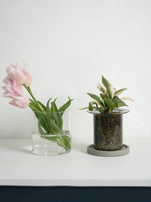 PINOガラスプランター