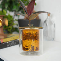 PINOガラスプランター