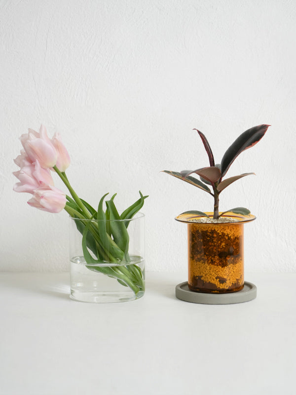 PINOガラスプランター