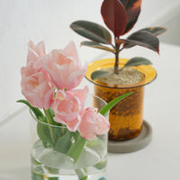 PINOガラスプランター