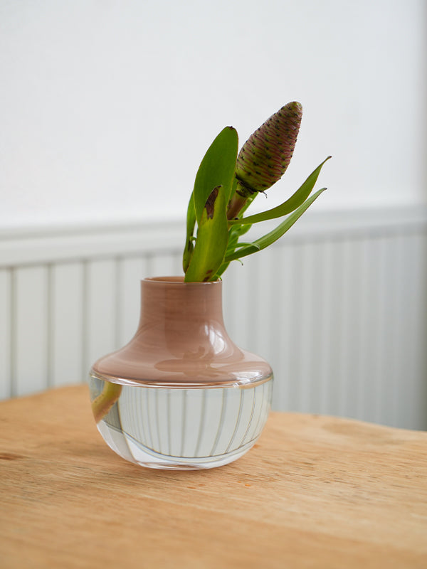 ガラスベース PUDIN | AXCIS ONLINE