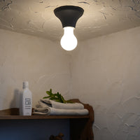 Flare ceiling light