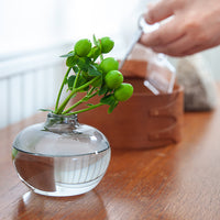 ガラスインセンスベース Lua