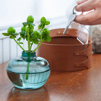 ガラスインセンスベース Lua