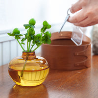 ガラスインセンスベース Lua