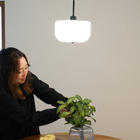 Flora pendant light BK