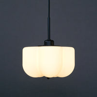 Flora pendant light BK