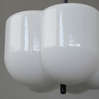 Flora pendant light BK