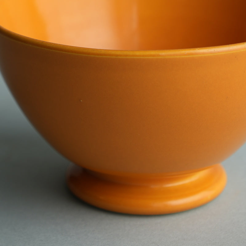Salins Yellow Bowl/France