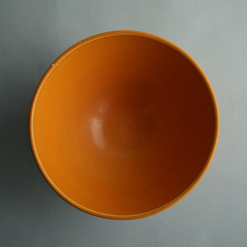 Salins Yellow Bowl/France