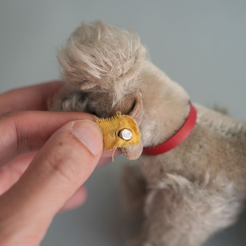 シュタイフ Dorma Steiff BE@RBRICK 70PB 1000% | ドイツ最高級テディベアのシュタイフ