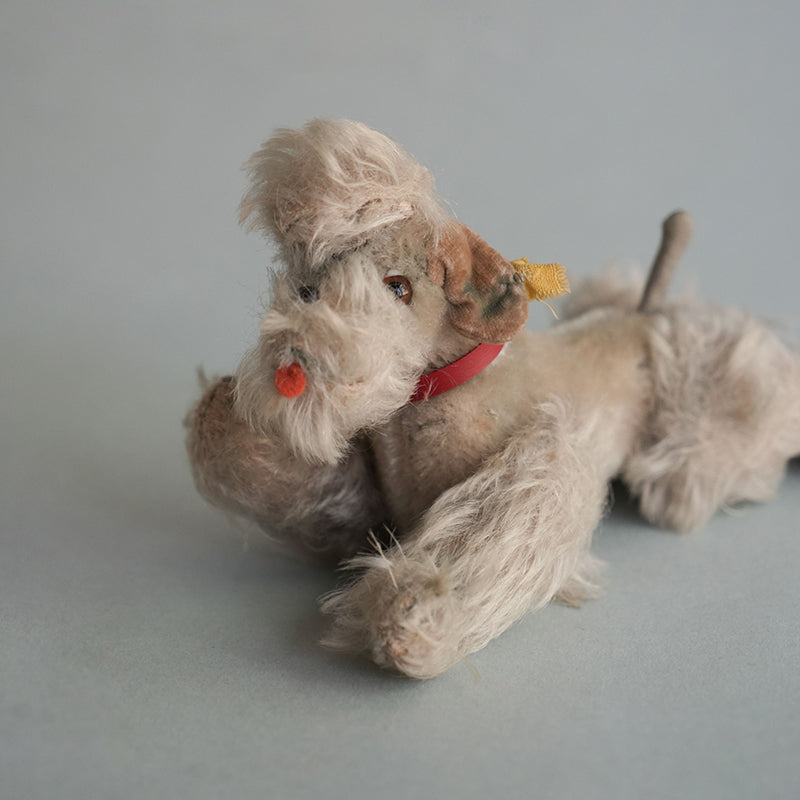 Dog/Steiff