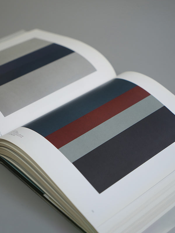 PLANE IMAGE:A BRICE MARDEN RETROSPECTIVE