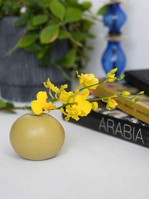 セラミックベース ウフ イエロー