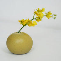 セラミックベース ウフ イエロー