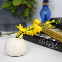 セラミックベース ウフ ホワイト