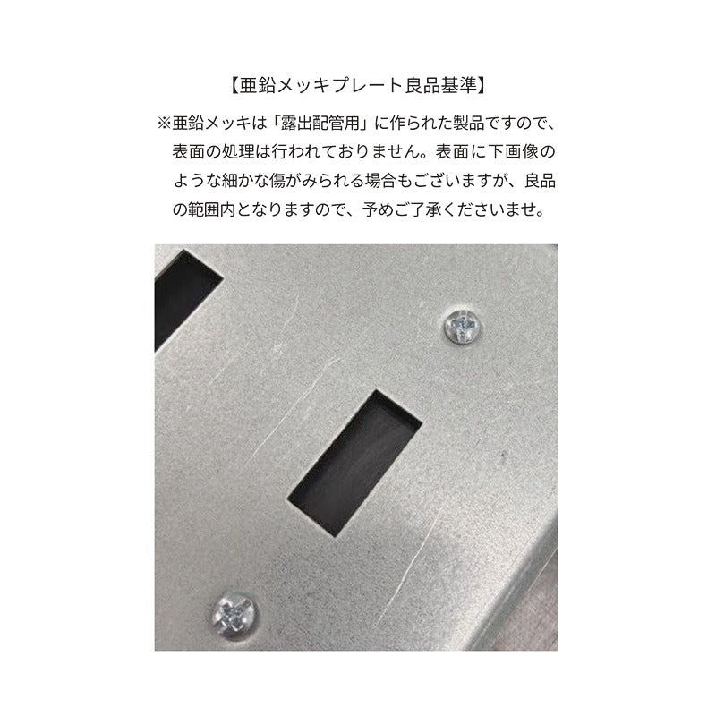 スチール2口スイッチプレート 亜鉛メッキ | AXCIS ONLINE