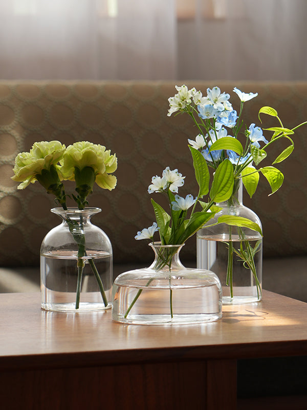 ガラスベース レーヌ | AXCIS ONLINE