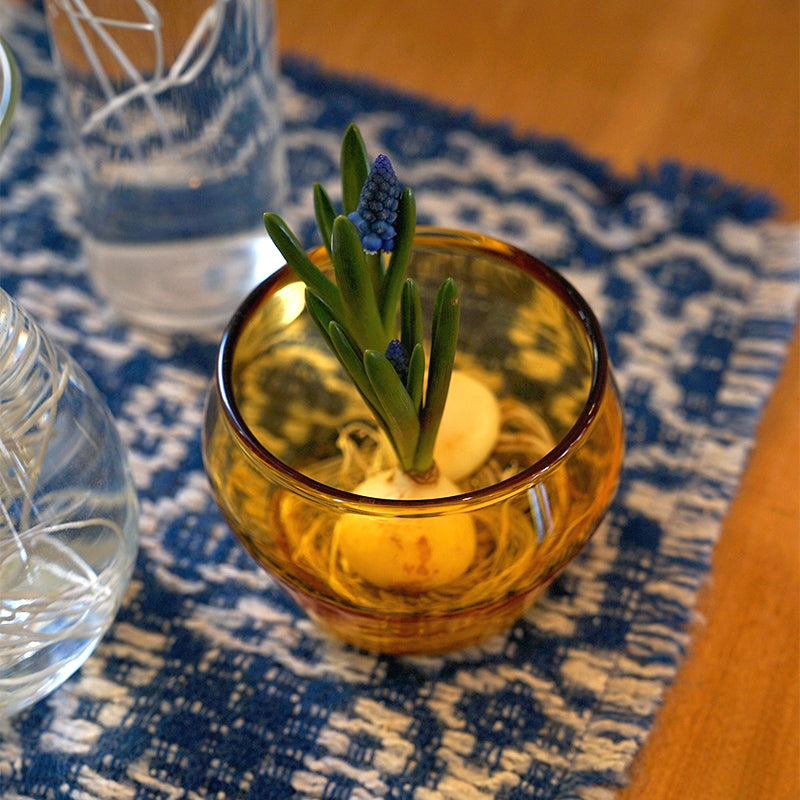 ラゴム グラスS | AXCIS ONLINE