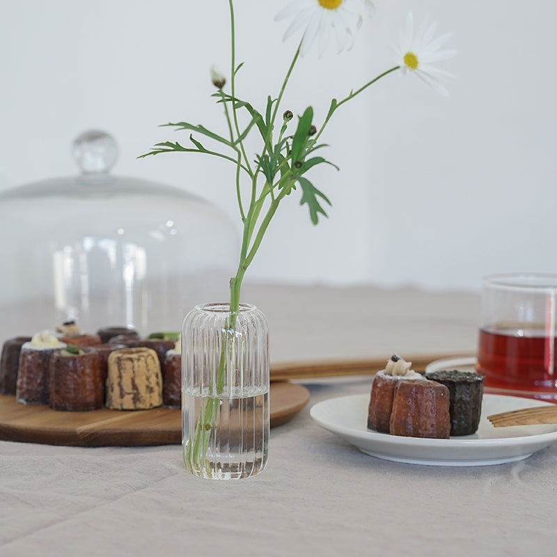 ガラスベース ガラスベース カヌレ | AXCIS ONLINE